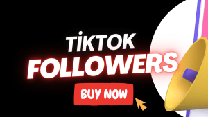 Buy TikTok Followers