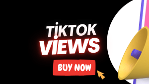 Buy TikTok Views